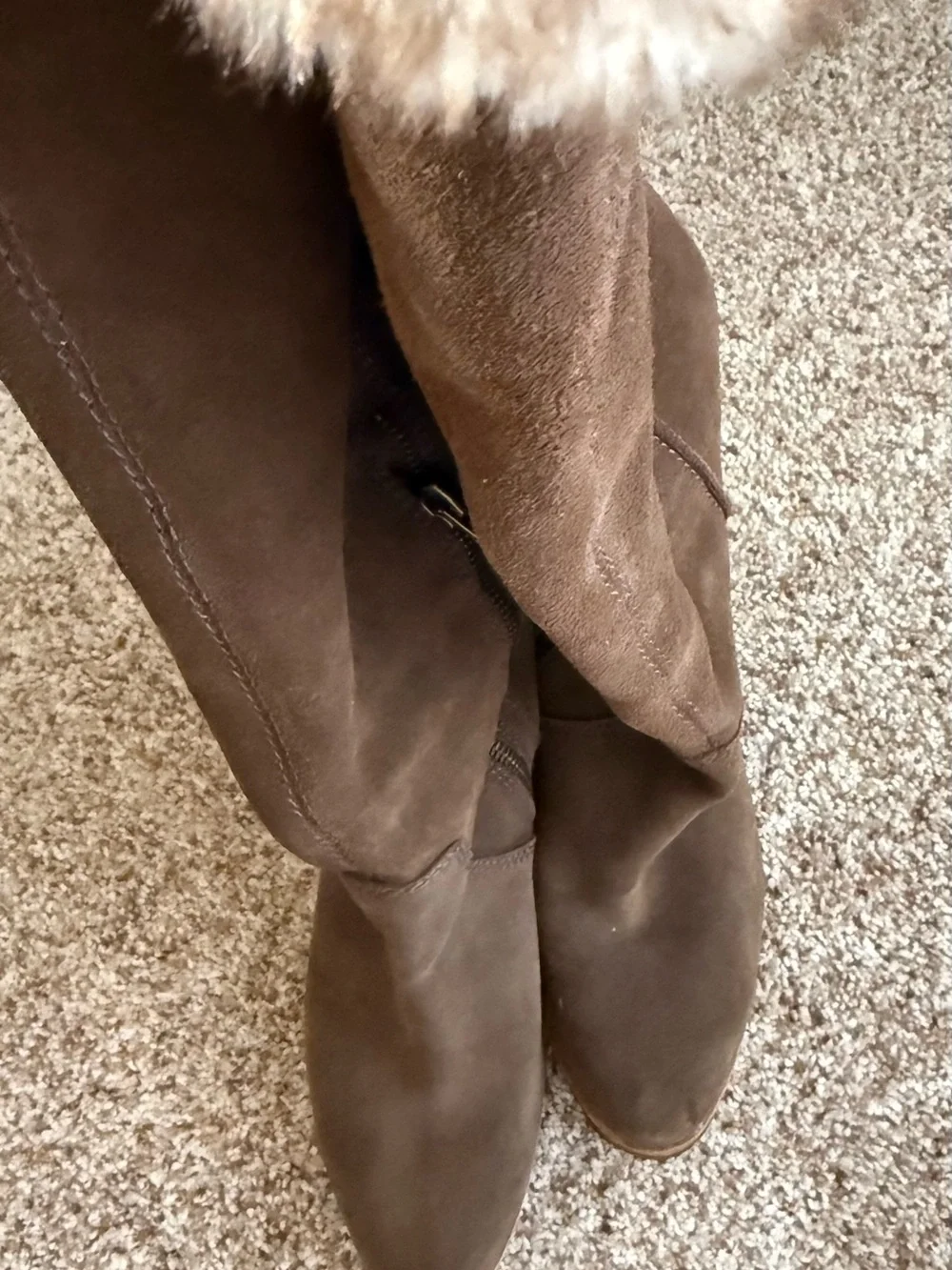 Splendid anthropologie brown